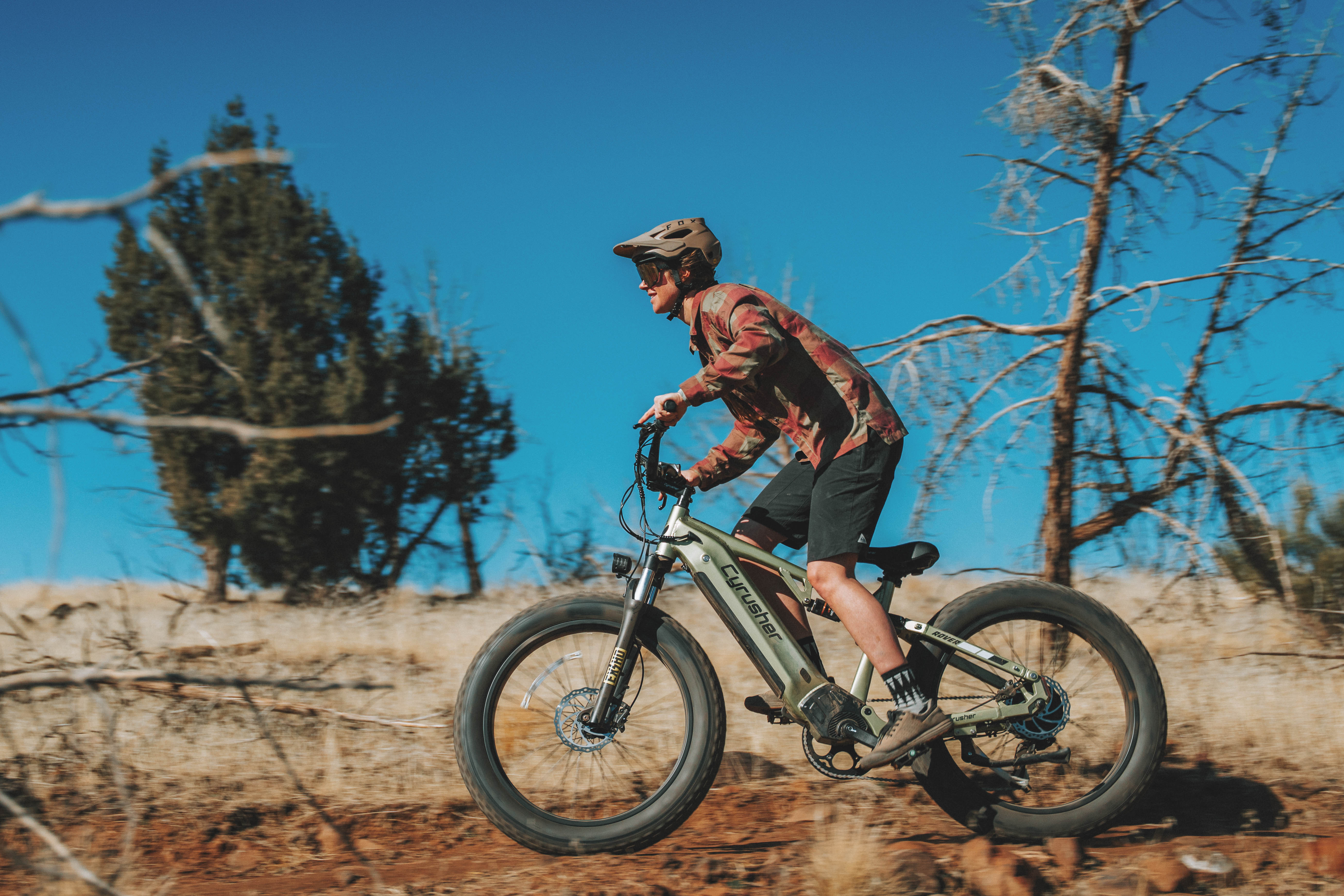 Was ist der Unterschied zwischen einem Pedelec und einem Ebike?