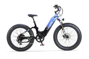 Roam All-Terrain Electric Bike
