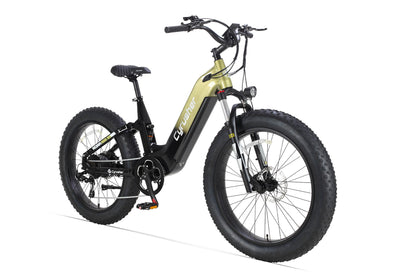 Roam All-Terrain Electric Bike