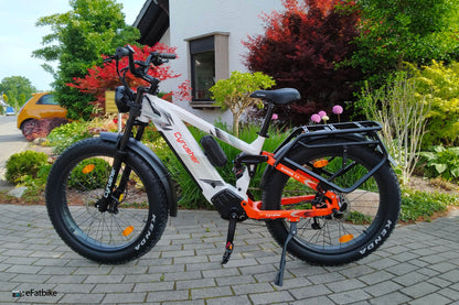 Schutzbleche und Gepäckträger-Set für Ranger 2.0/Trax 2.0/Rover/Roam