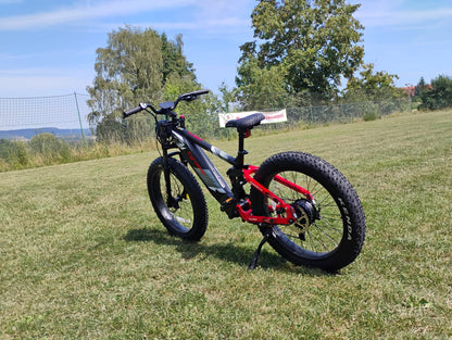 Ranger 2.0 gebraucht Fahrräder, 95% neu
